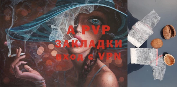 твердый Балахна